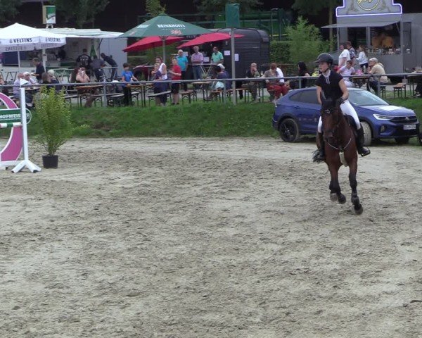 Reitturnier Dortmund-Barop 2024