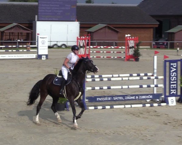 Reitturnier Dortmund-Barop 2024