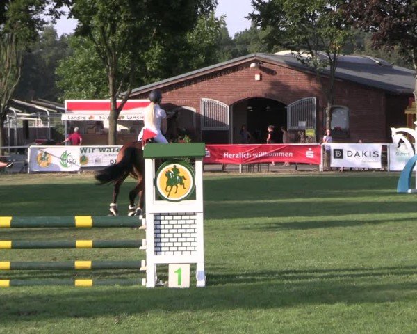 Reitturnier Münchehofe 2024
