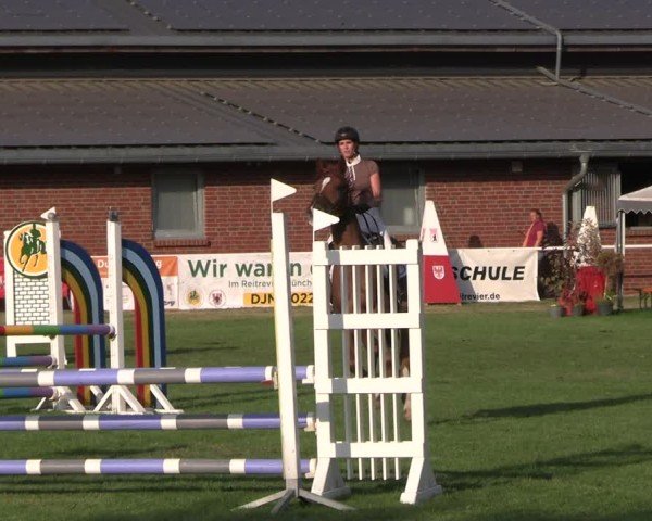 Reitturnier Münchehofe 2024