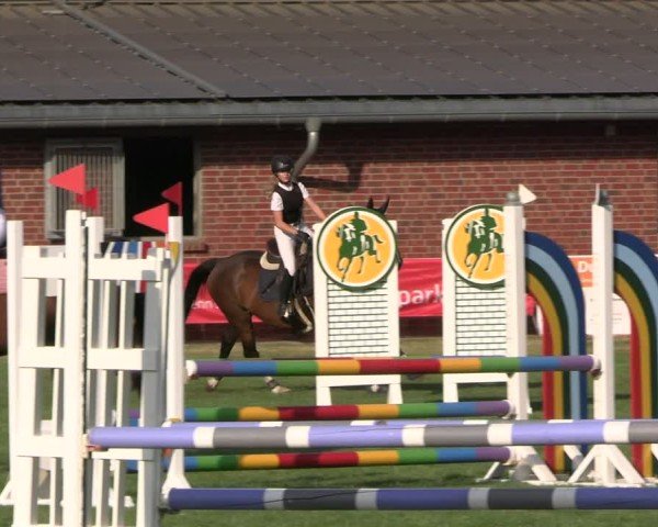 Reitturnier Münchehofe 2024