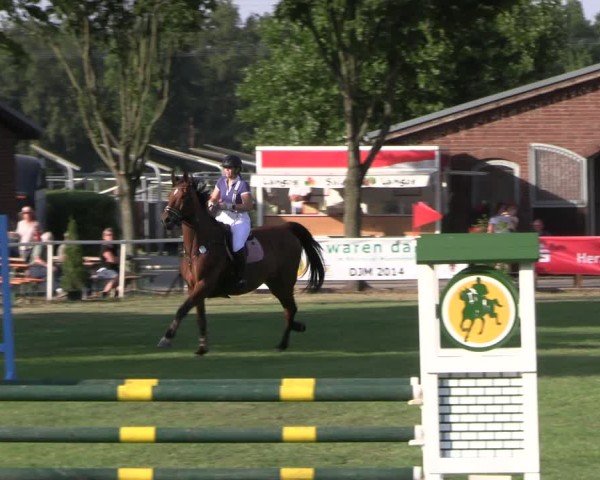 Reitturnier Münchehofe 2024