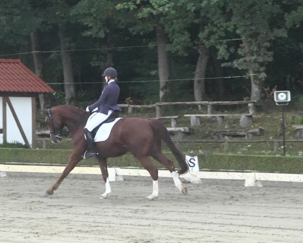 Reitturnier Neu-Anspach / Wintermühle 2021