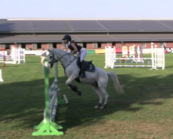 Reitturnier Münchehofe 2024