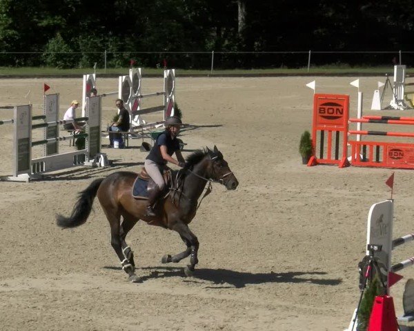 Reitturnier Maienfeld 2024