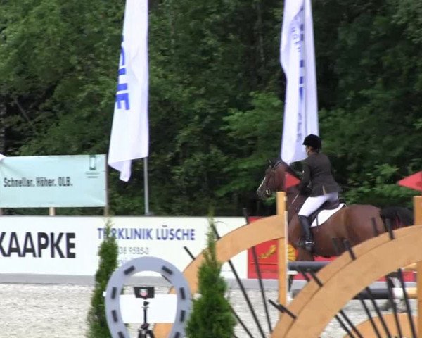 Reitturnier Cloppenburg 2013