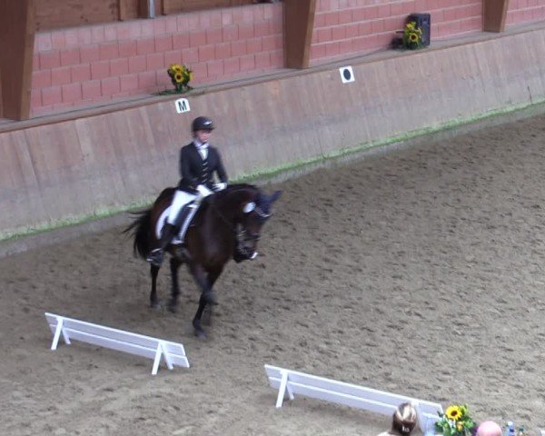 Reitturnier Dortmund-Barop 2024
