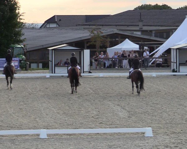 Reitturnier Leichlingen-Witzhelden 2024