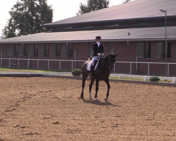 Reitturnier Münchehofe 2024