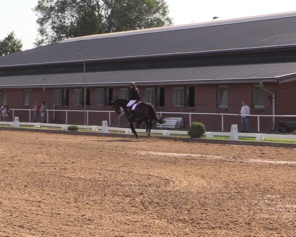 Reitturnier Münchehofe 2024
