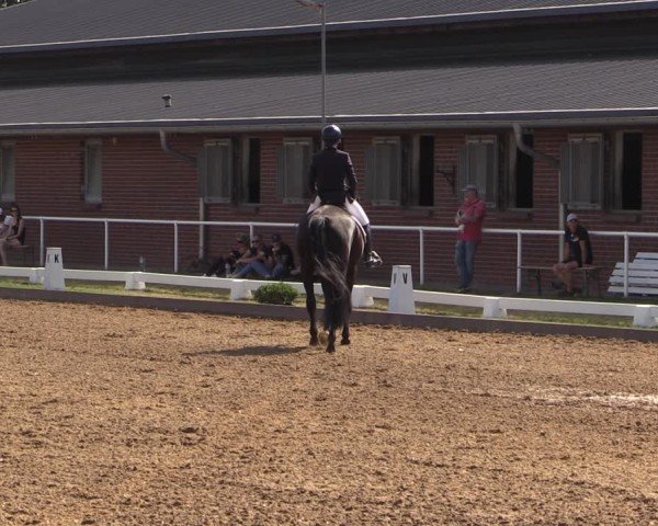 Reitturnier Münchehofe 2024