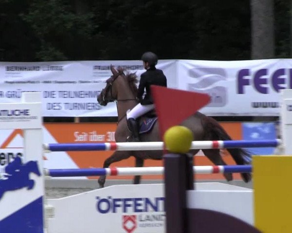 Reitturnier Cloppenburg 2013