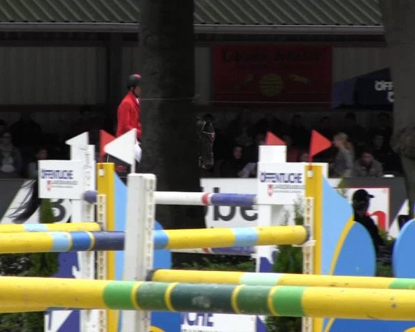 Reitturnier Cloppenburg 2013