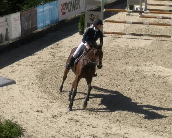 Reitturnier Maienfeld 2024