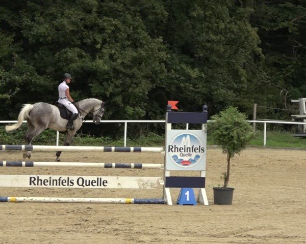 Reitturnier Dinslaken-Hiesfeld 2024