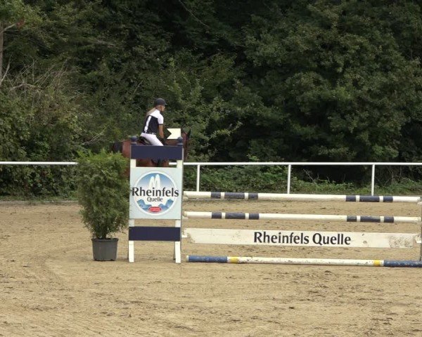 Reitturnier Dinslaken-Hiesfeld 2024
