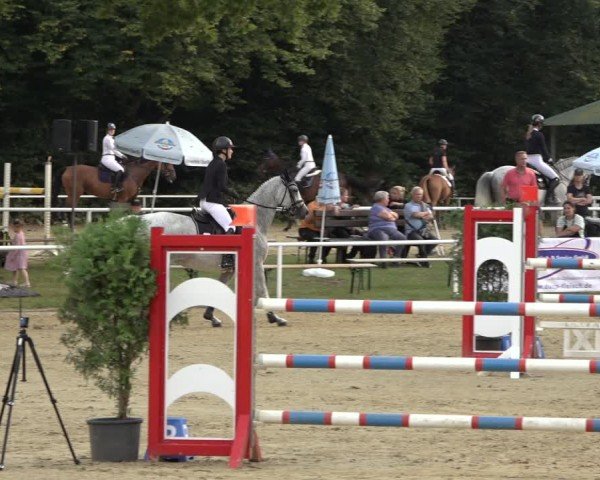 Reitturnier Dinslaken-Hiesfeld 2024