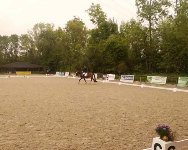 Reitturnier Leonberg 2024