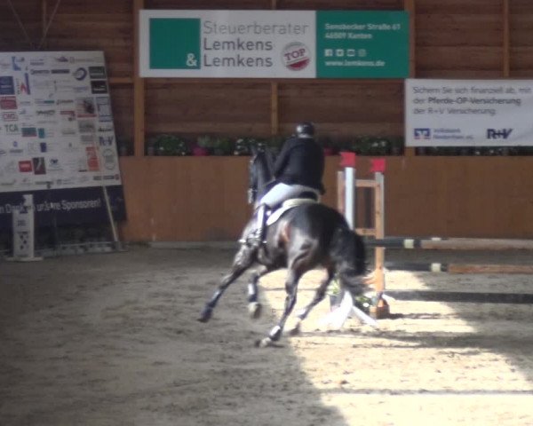 Springturnier Xanten - Reitanlage Miss 2021