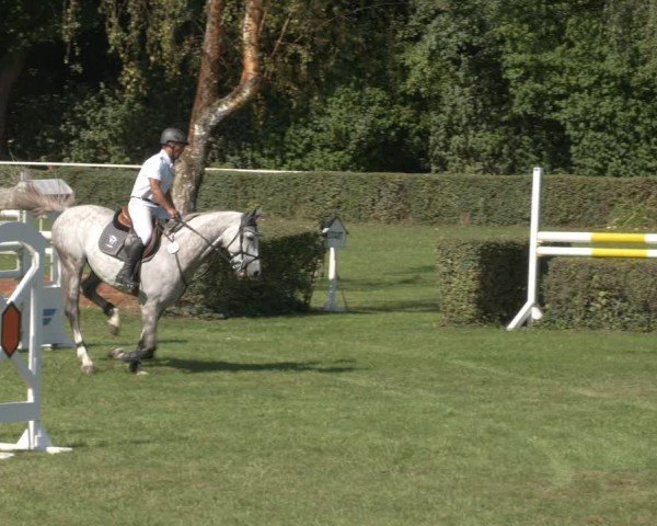 Reitturnier Westeregeln 2024
