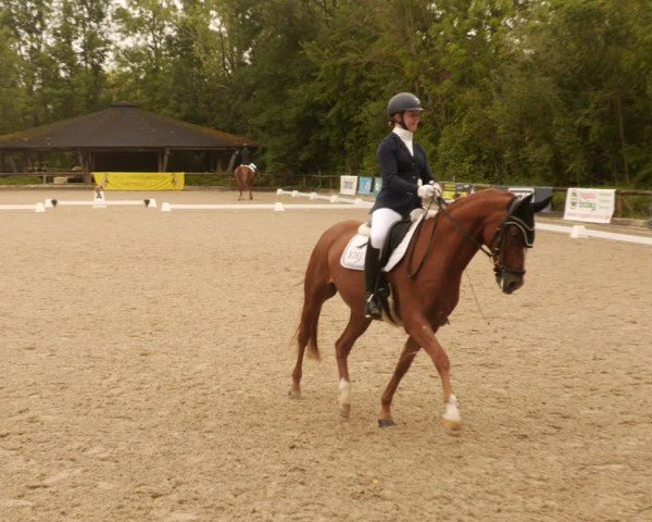 Reitturnier Leonberg 2024