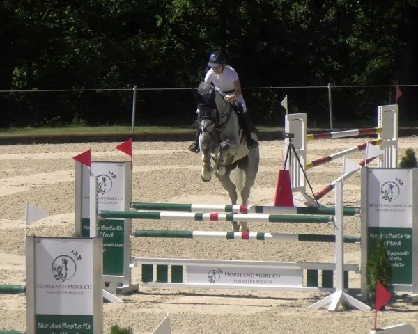 Reitturnier Maienfeld 2024