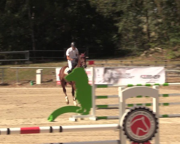 Reitturnier Lgl.-Oberhain, B95 2024