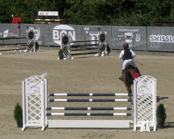 Reitturnier Maienfeld 2024