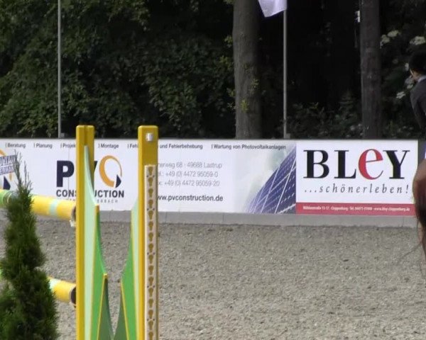 Reitturnier Cloppenburg 2013