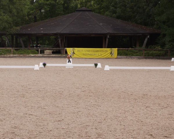 Reitturnier Leonberg 2024