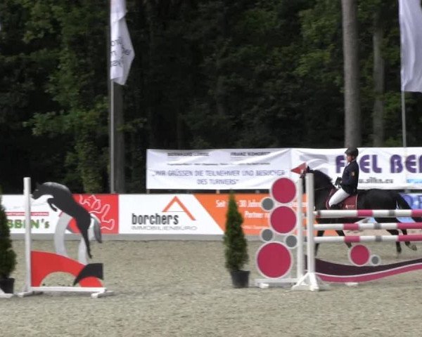 Reitturnier Cloppenburg 2013