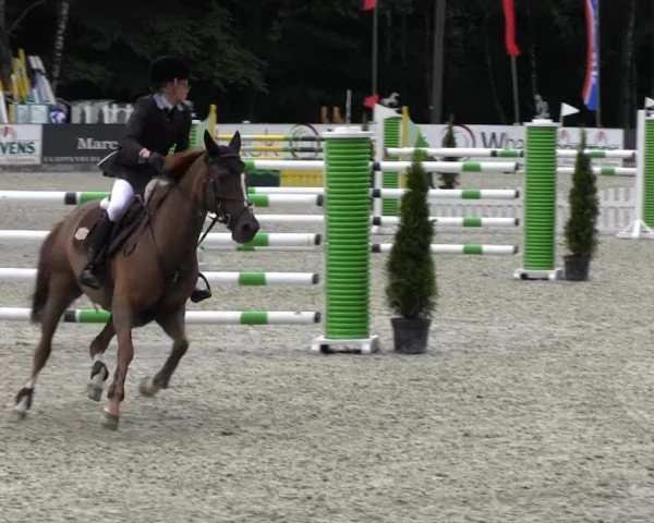 Reitturnier Cloppenburg 2013