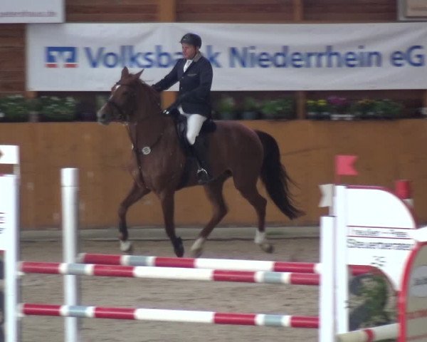 Springturnier Xanten - Reitanlage Miss 2021