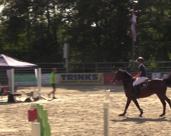 Reitturnier Lgl.-Oberhain, B95 2024
