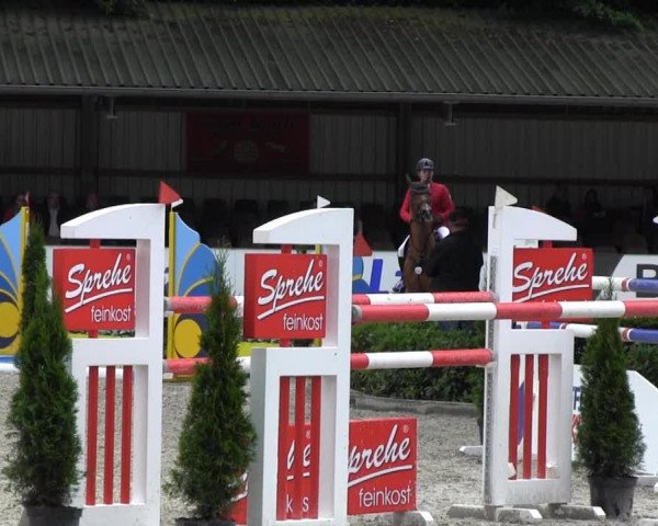 Reitturnier Cloppenburg 2013