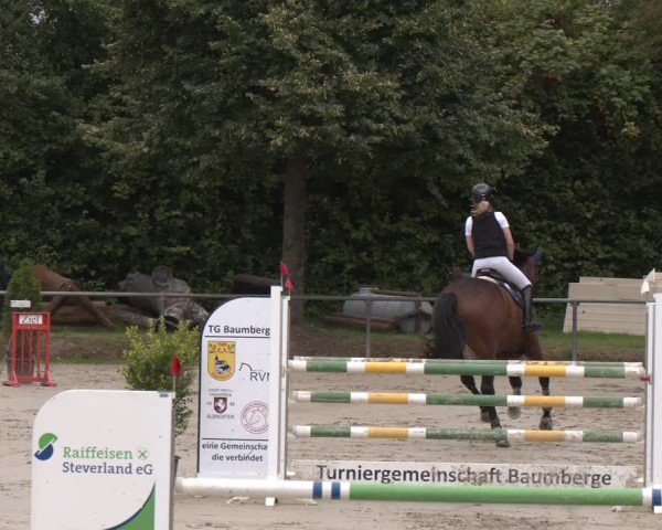 Reitturnier Appelhülsen 2024