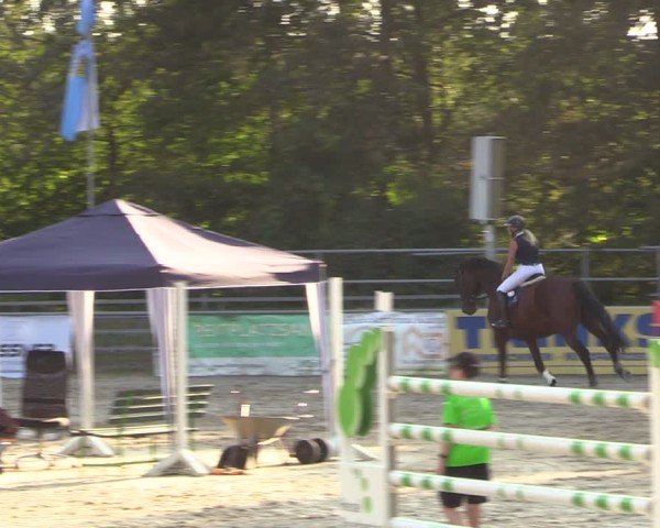 Reitturnier Lgl.-Oberhain, B95 2024