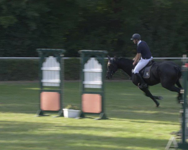 Reitturnier Westeregeln 2024