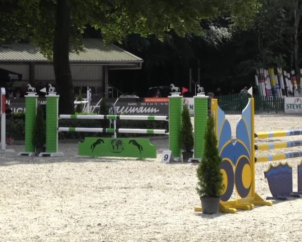 Reitturnier Cloppenburg 2013