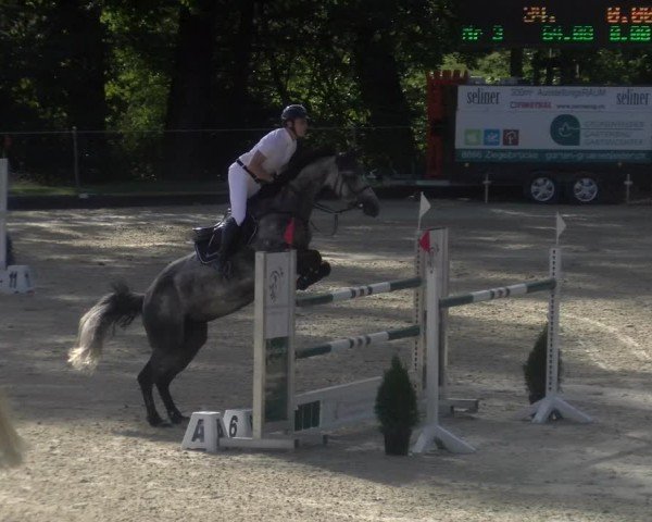 Reitturnier Maienfeld 2024