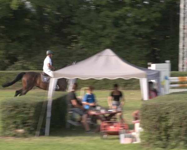 Reitturnier Westeregeln 2024