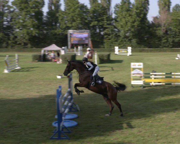 Reitturnier Westeregeln 2024