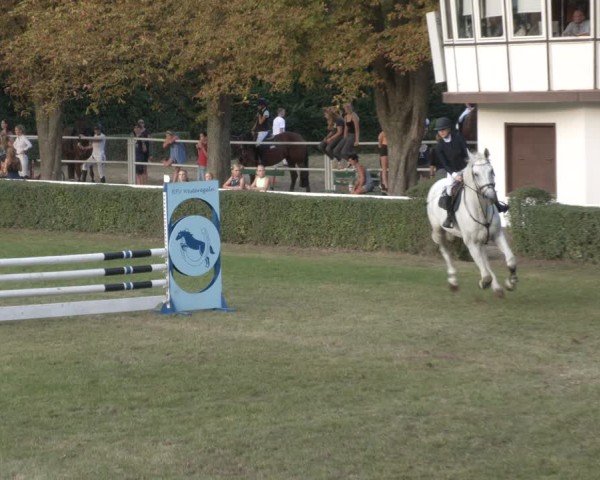 Reitturnier Westeregeln 2024