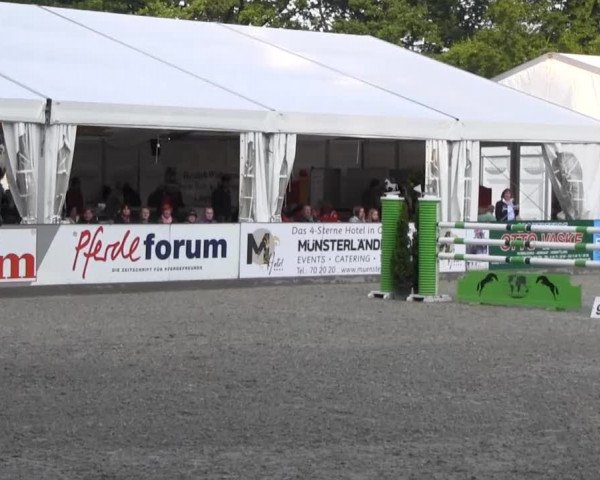 Reitturnier Cloppenburg 2013