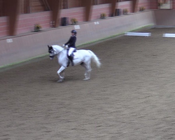 Reitturnier Dortmund-Barop 2024