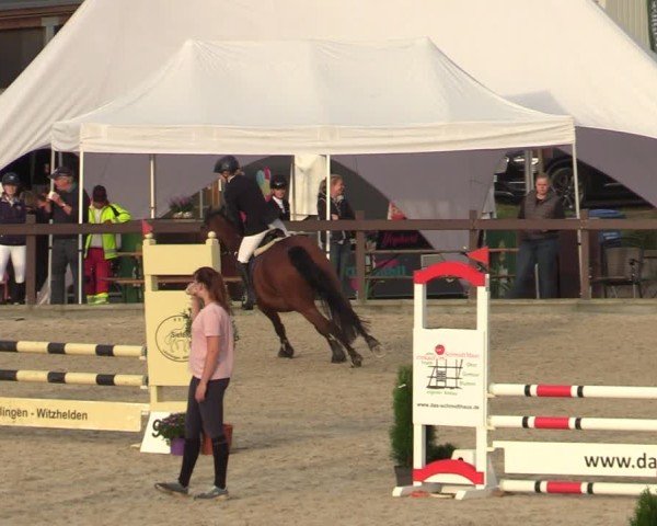 Reitturnier Leichlingen-Witzhelden 2024