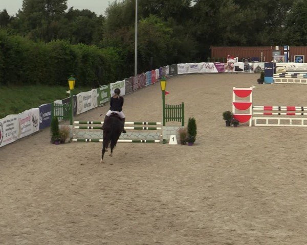 Reitturnier Leichlingen-Witzhelden 2024