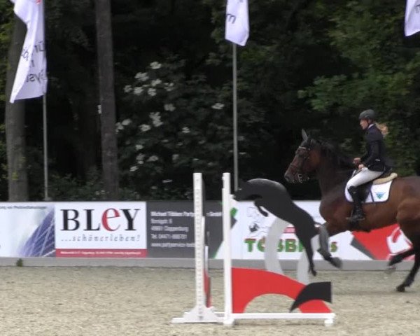 Reitturnier Cloppenburg 2013