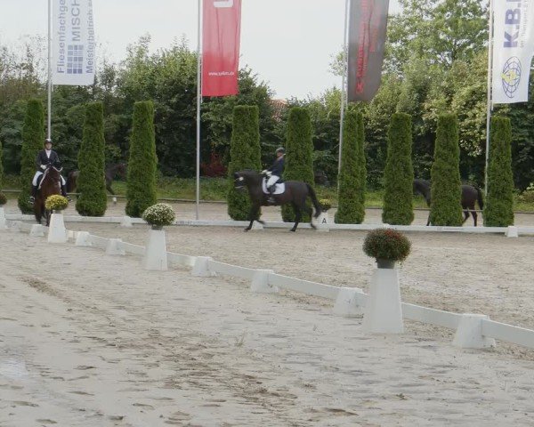 Reitturnier Meinerzhagen 2024