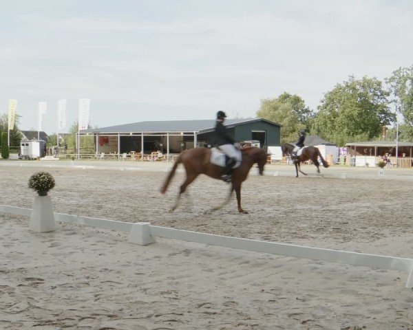 Reitturnier Meinerzhagen 2024